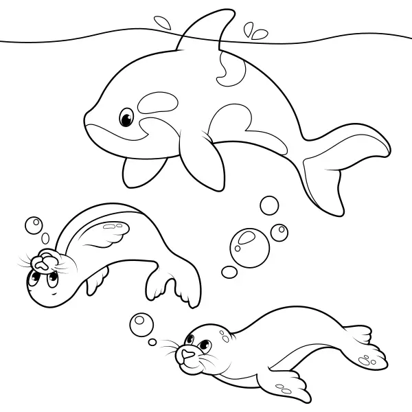 Foche e orca | Disegni da colorare online per bambini