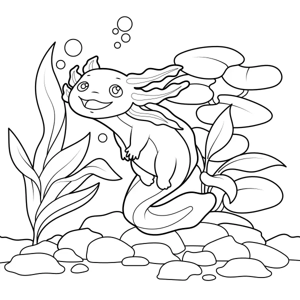 Axolotl | Disegni da colorare online per bambini