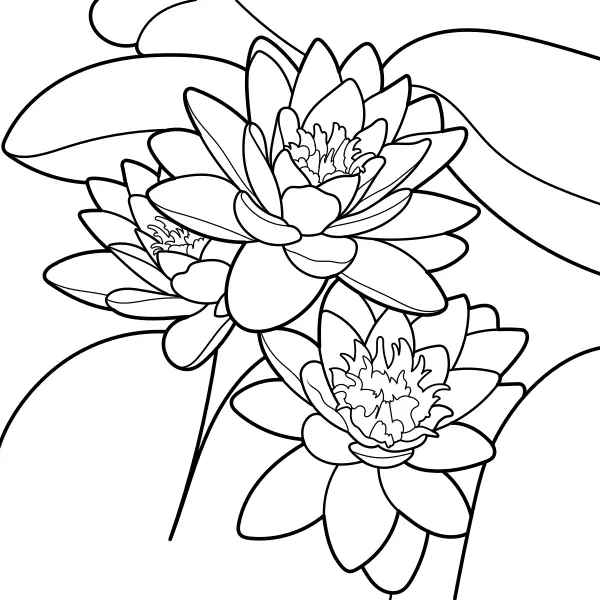 Ninfea | Disegni da colorare online per bambini