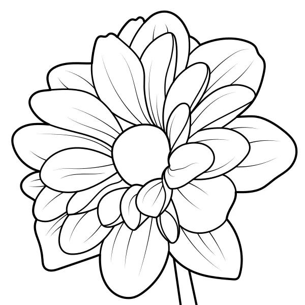 Dalia | Disegni da colorare online per bambini