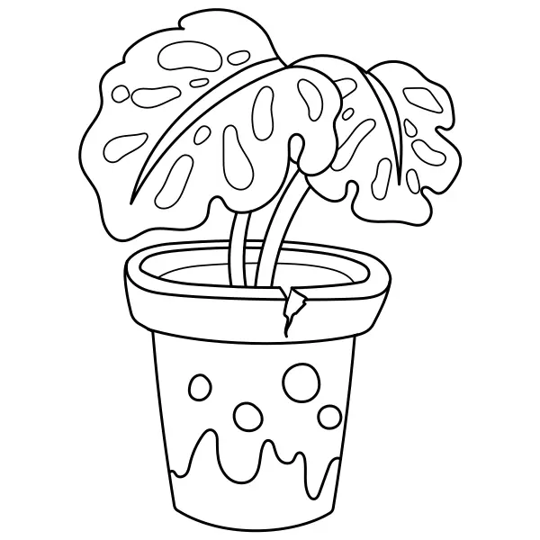 La pianta Monstera | Disegni da colorare online per bambini