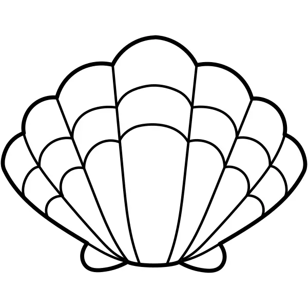 Conchiglia | Disegni da colorare online per bambini