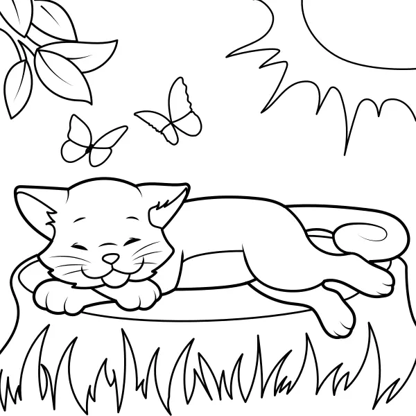 Il gatto si riscalda al sole | Disegni da colorare online per bambini