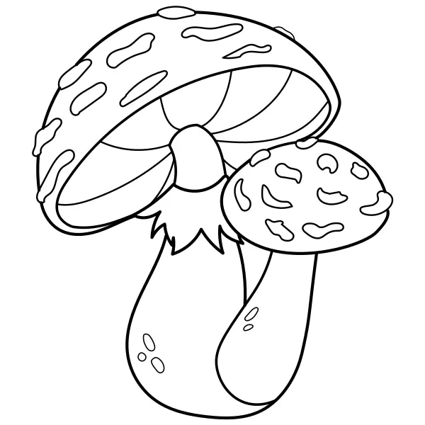Amanita | Disegni da colorare online per bambini