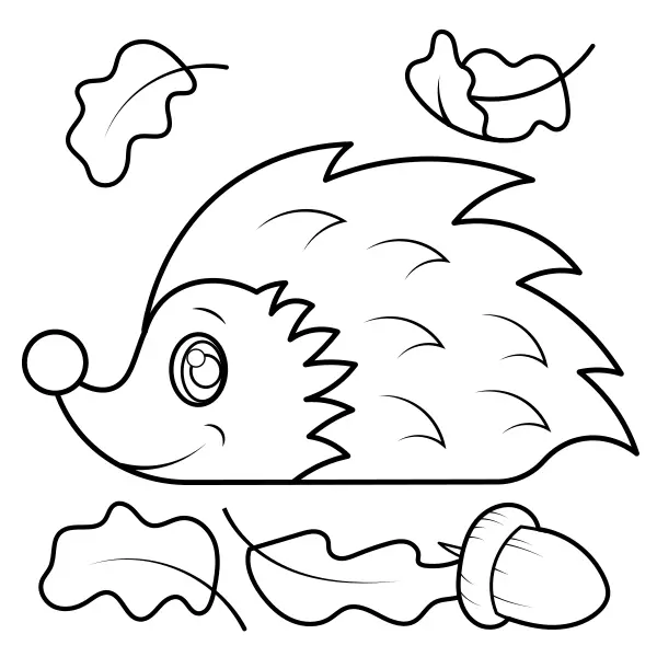 Riccio | Disegni da colorare online per bambini