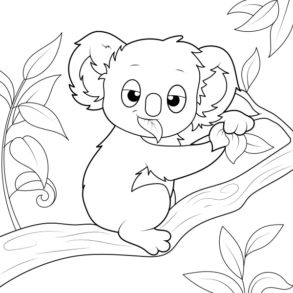 Koala | Disegni da colorare online per bambini