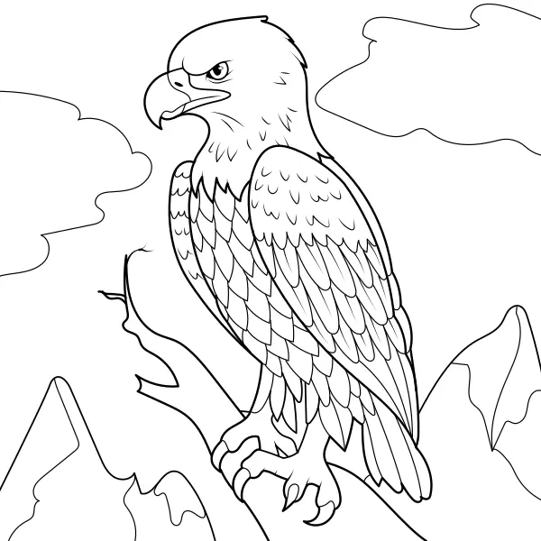 Aquila | Disegni da colorare online per bambini