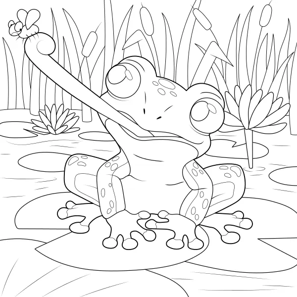 Rana | Disegni da colorare online per bambini