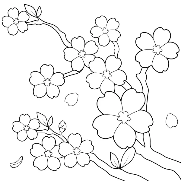 Ciliegio giapponese | Disegni da colorare online per bambini