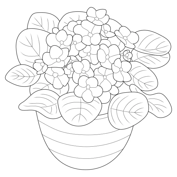 Violette | Disegni da colorare online per bambini